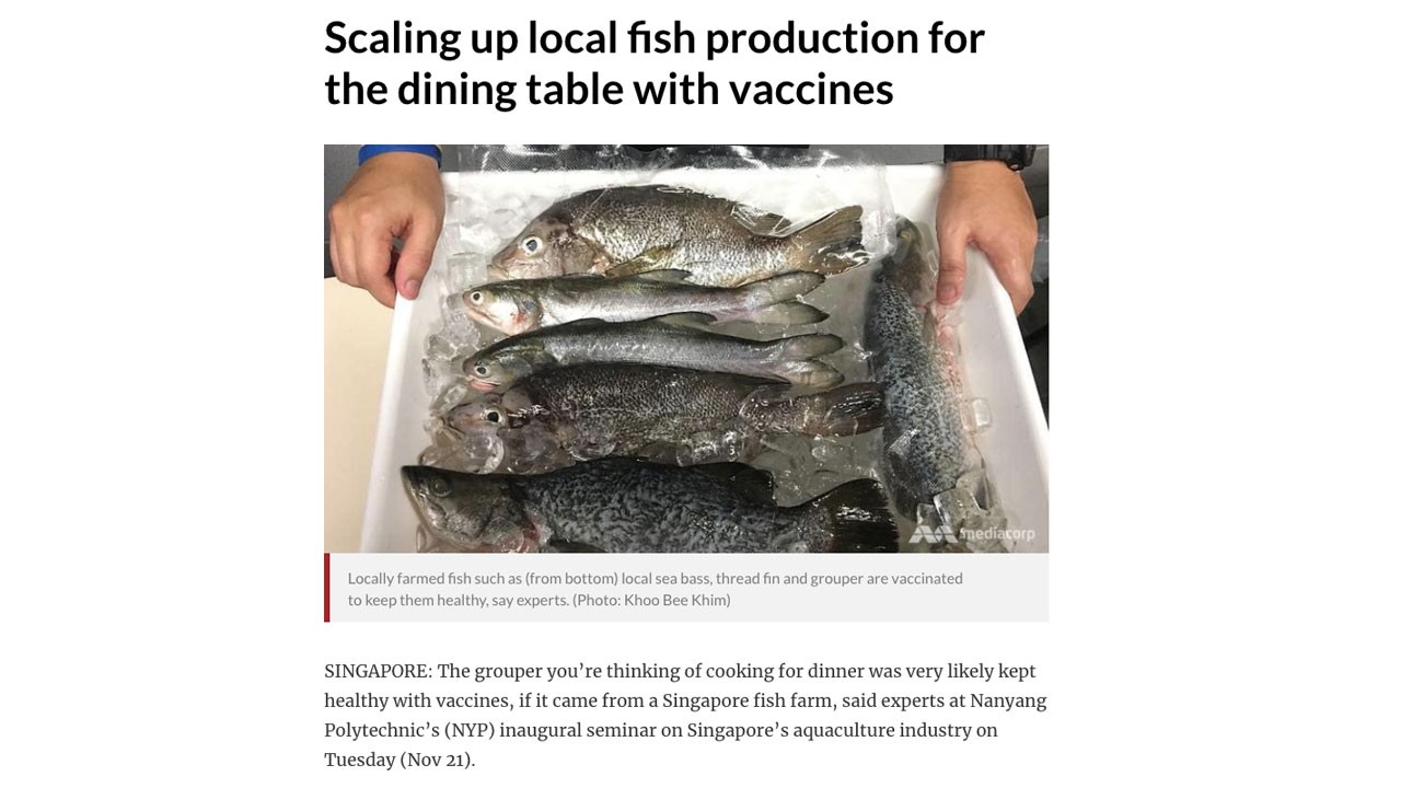 Scaling up local fish production for the dining table