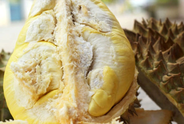 Turning Trash into Treasure: Upcycling Durian Husk for Sustainable Solutions